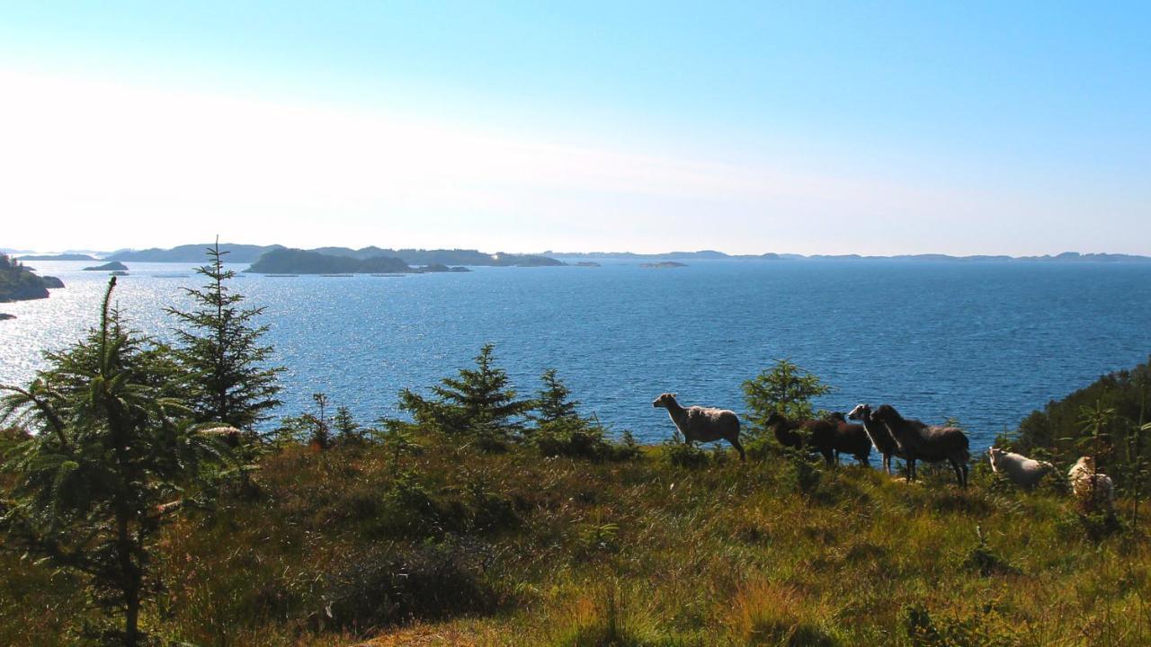 Apartamento Kobbaneset Hk - Tett Pa Havet - Bekkjarvik Exterior foto