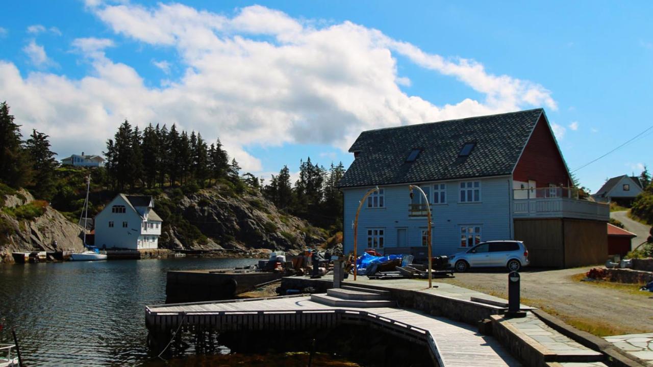 Apartamento Kobbaneset Hk - Tett Pa Havet - Bekkjarvik Exterior foto