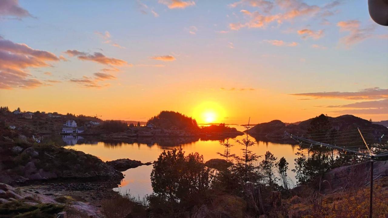 Apartamento Kobbaneset Hk - Tett Pa Havet - Bekkjarvik Exterior foto